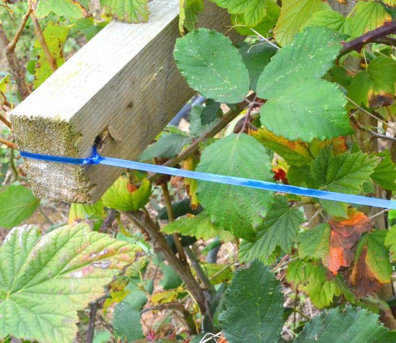 Plastic-Bottle-Cutter1